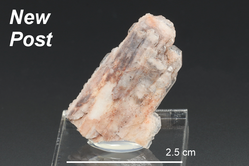 Baryte (NS/Spicers Cove)